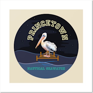 Pelicans watch Posters and Art